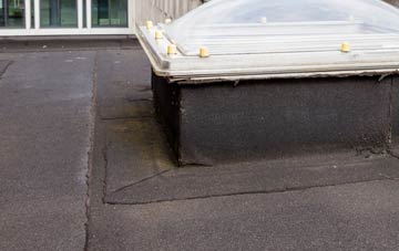 disadvantages of Lesbury flat roofs