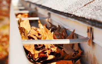 Lesbury gutter cleaning companies